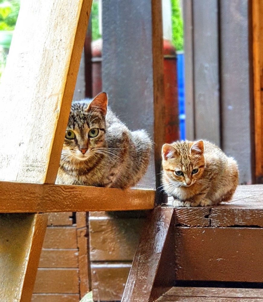 Photograph by Надежда Кудрявцева