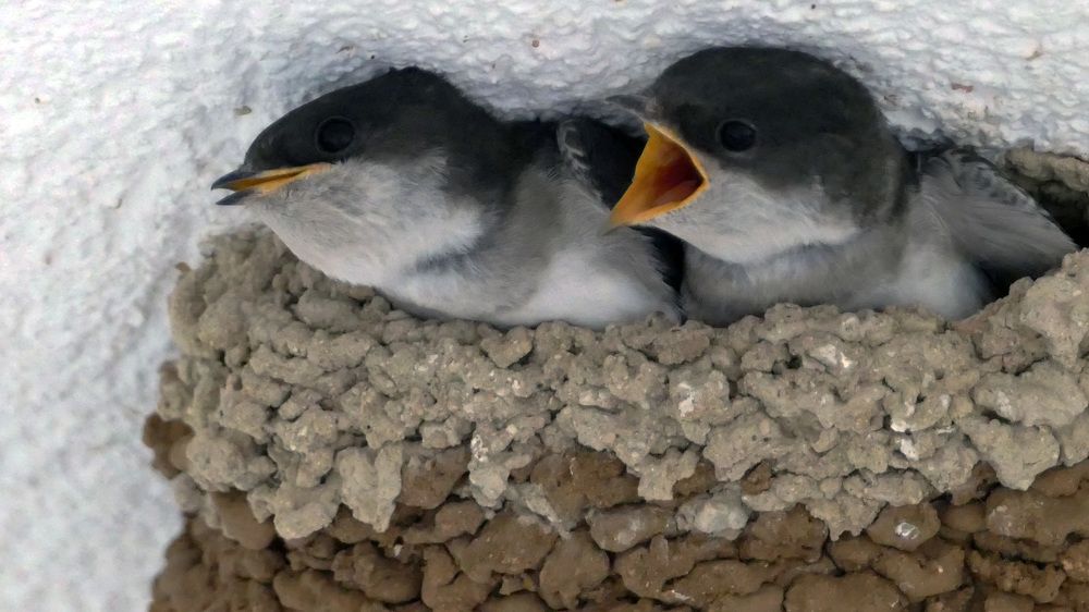 Фотография автора Dubravko Maricic