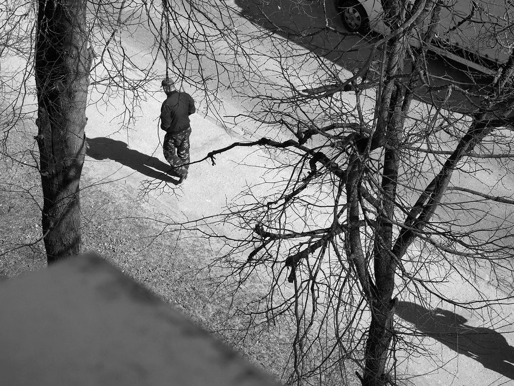 Фотография автора Андрей Янковский