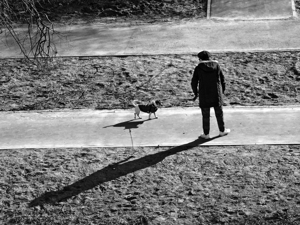 Фотография автора Андрей Янковский