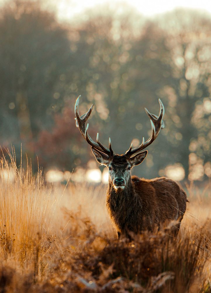 Photograph by Mihail Bacalu