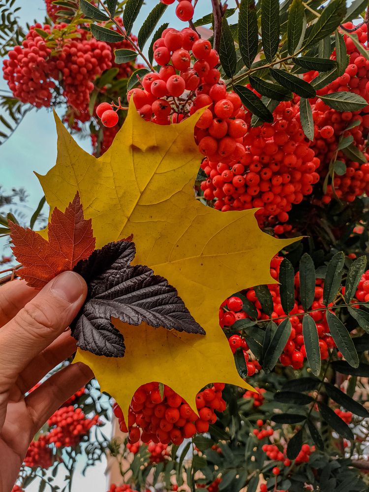 Photograph by Денис