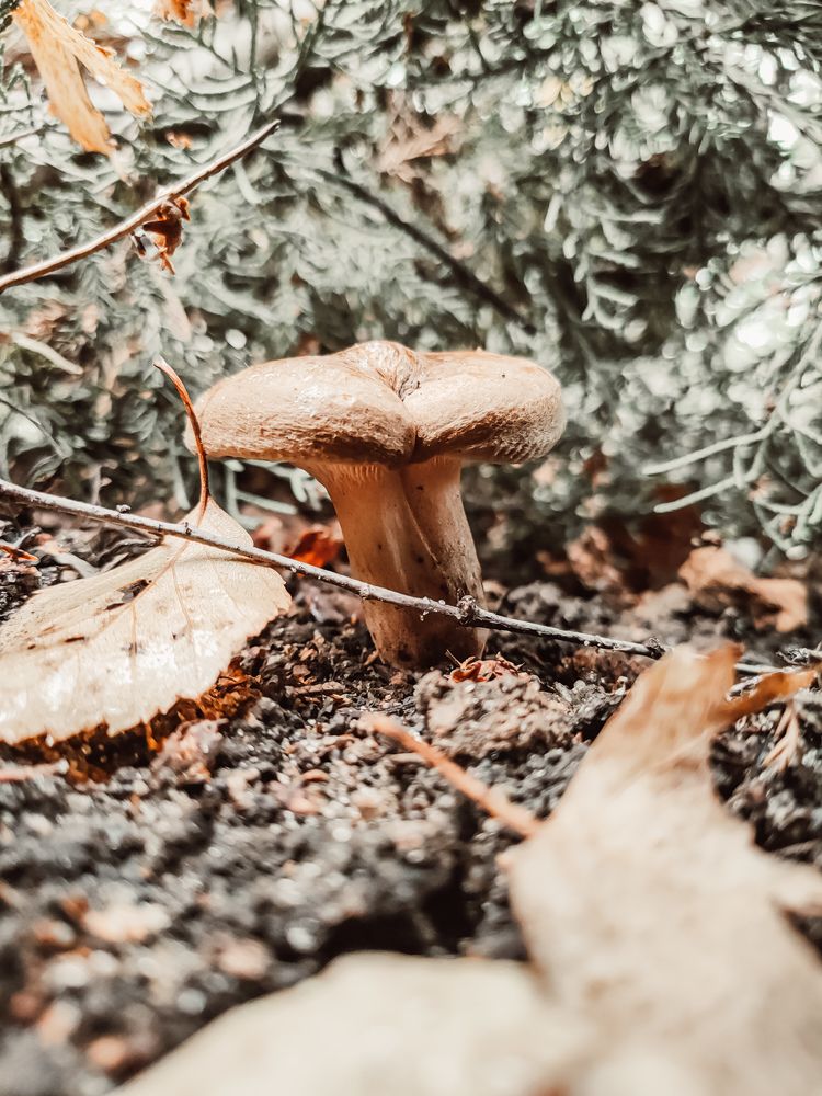 Photograph by Денис