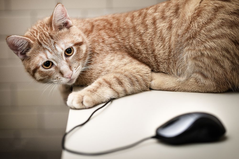 Photograph by Francesca Calabró