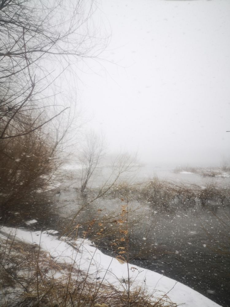 Photograph by Елизавета Фирстова