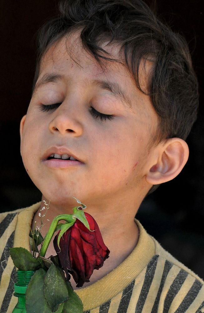 Photograph by علي الساعدي