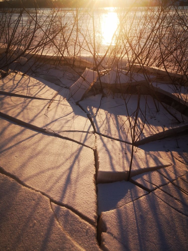 Photograph by Елизавета Фирстова