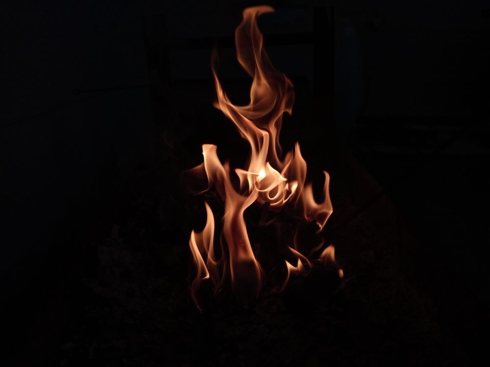 Photograph by Narjes Al_Bayat (Narjes Alzahraa)