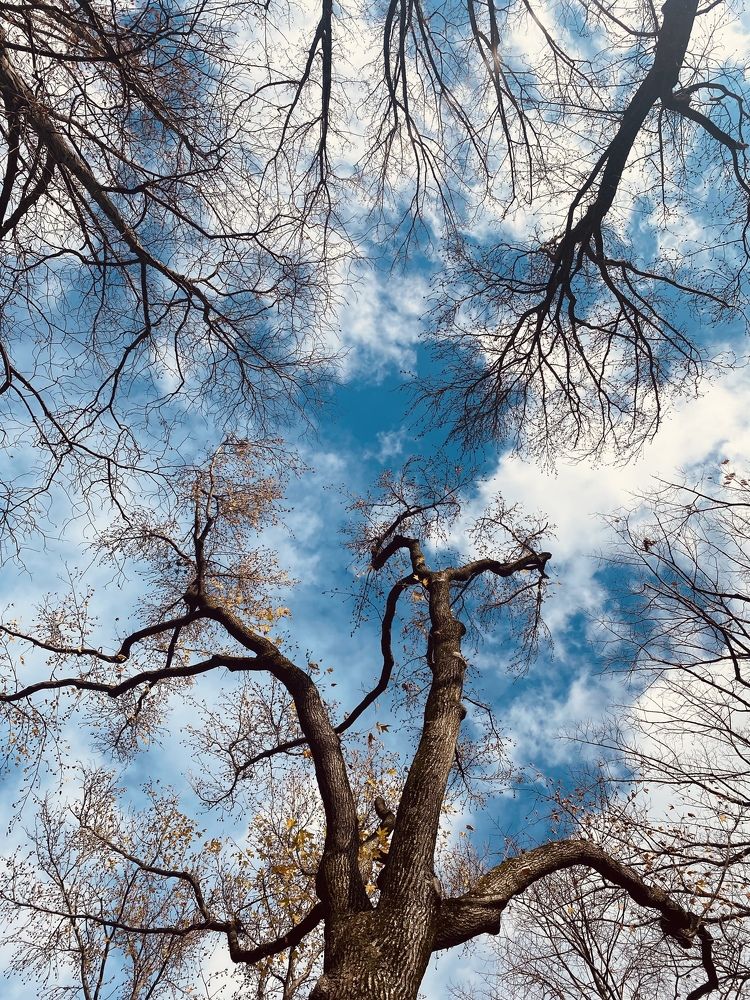 Photograph by Юлия Халяпина