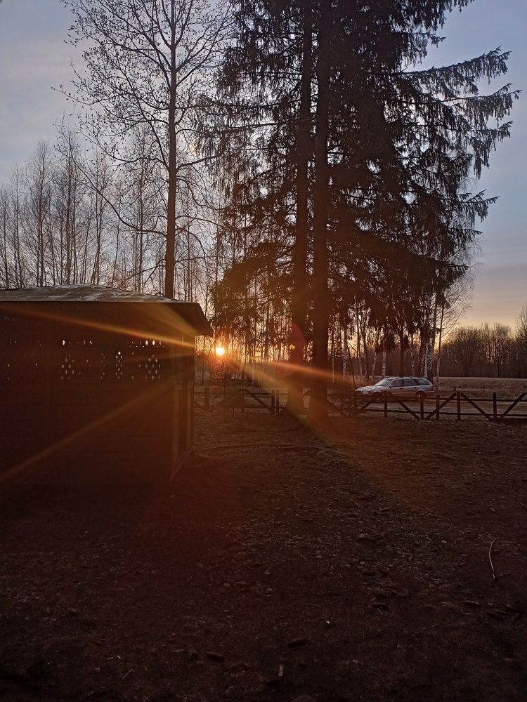 Photograph by Марина Криштопова