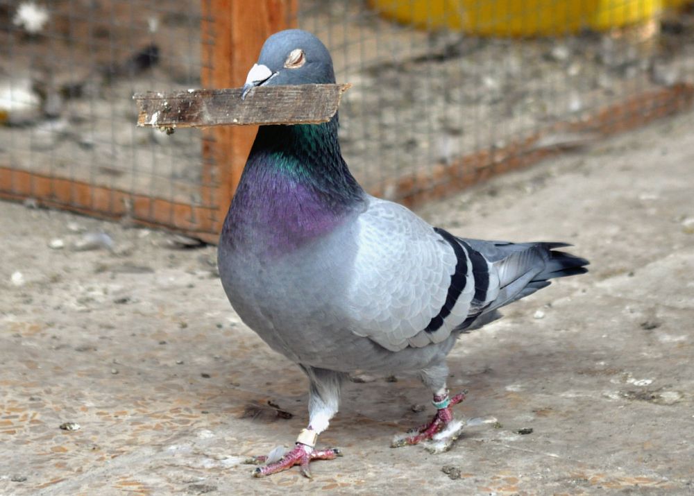 Photograph by علي الساعدي