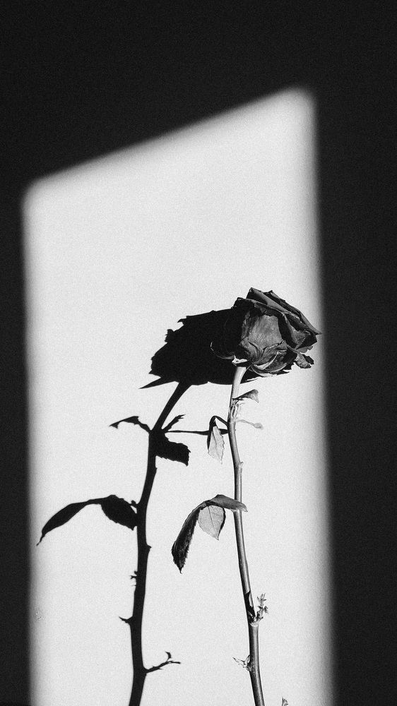 Photograph by Отрадная Марина