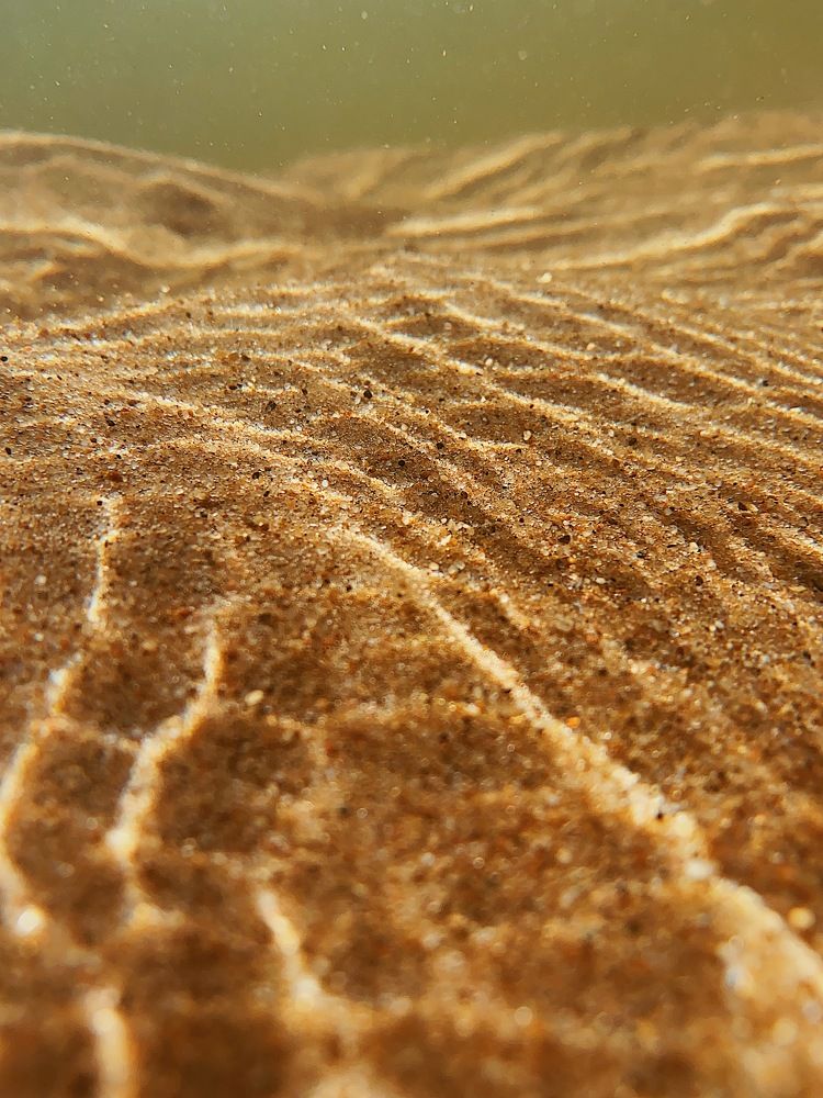 Photograph by Чепрасова Мария