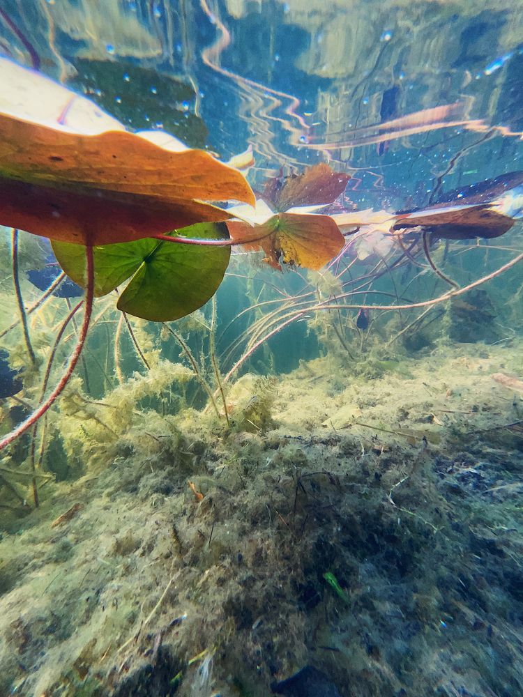 Photograph by Чепрасова Мария
