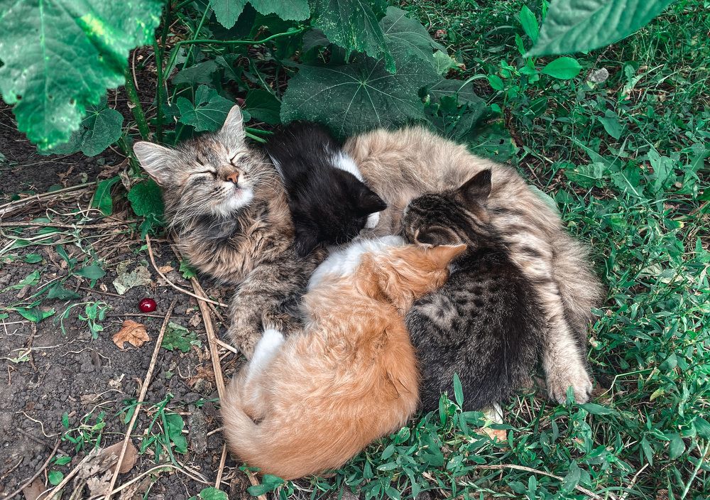 Photograph by Виктория Лаур