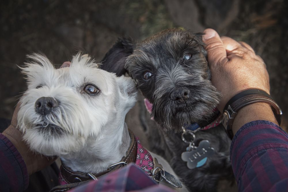 Photograph by Aлена Плясова