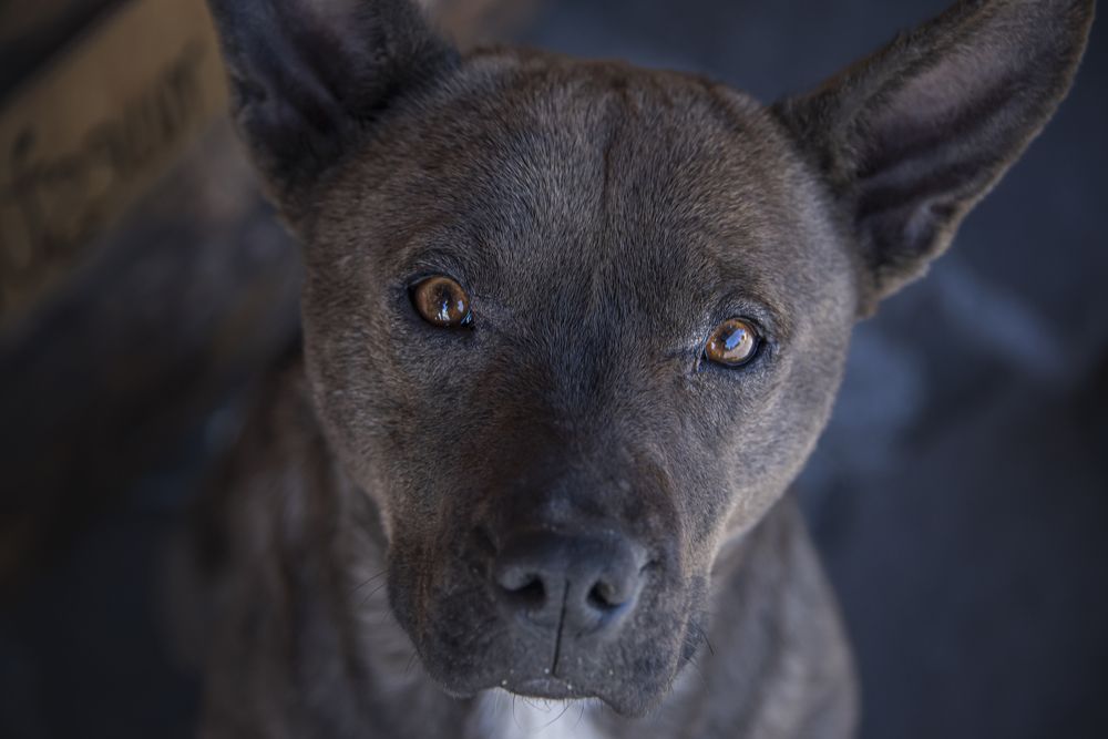 Photograph by Aлена Плясова