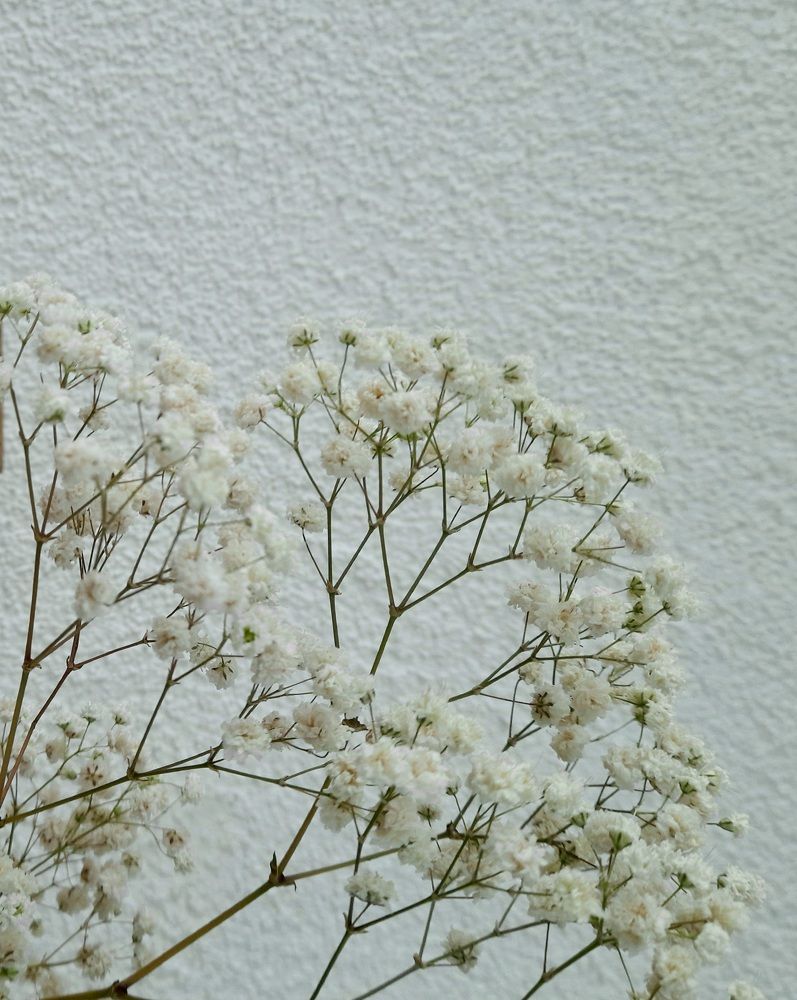 Photograph by Наталия Бочкова