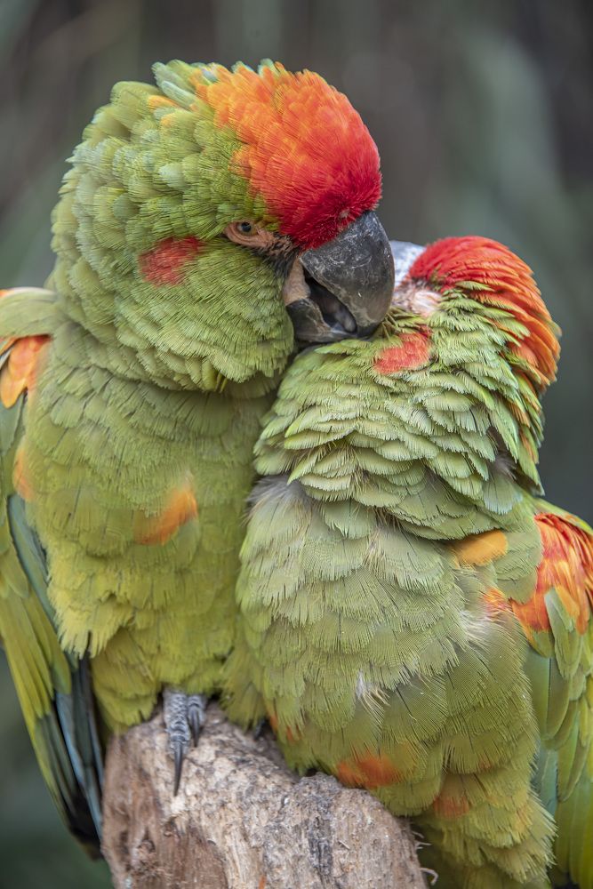 Photograph by Aлена Плясова