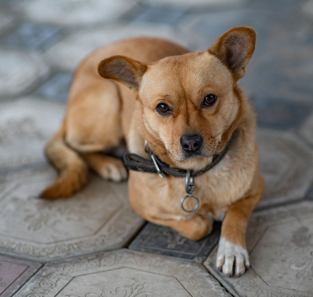 Photograph by Алексей Торлопов