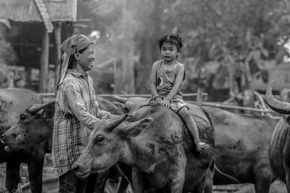 Photograph by kachachart duangket