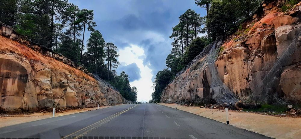 Photograph by Sandra Flores