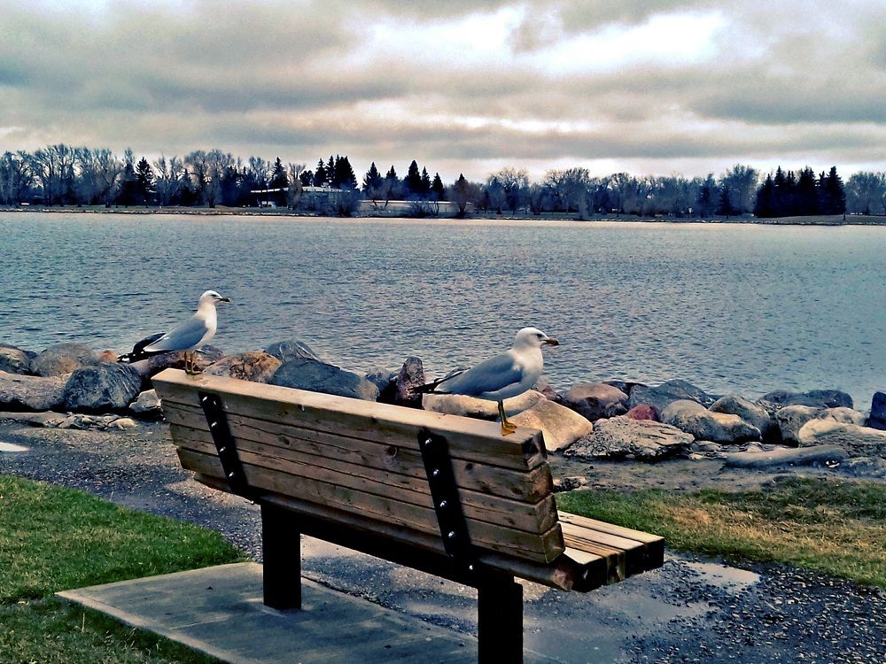 Photograph by Sandra Flores