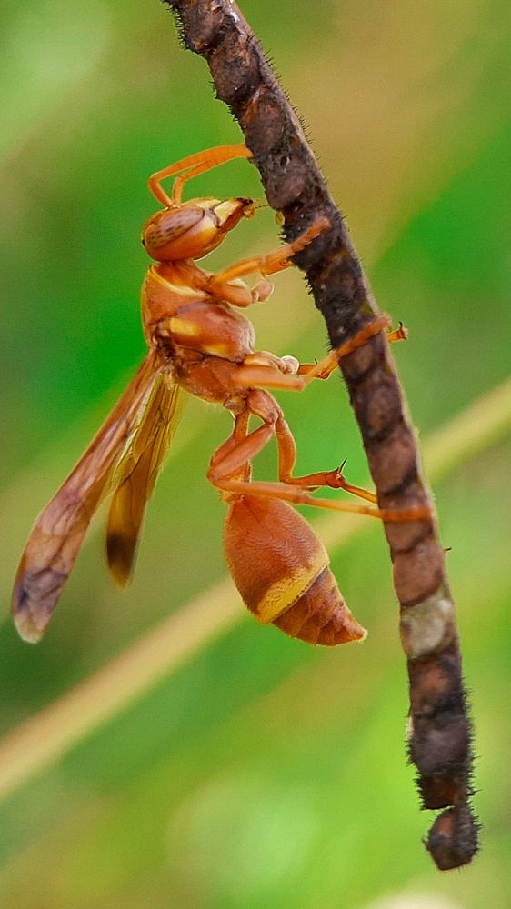 Photograph by Chamath Pramuditha