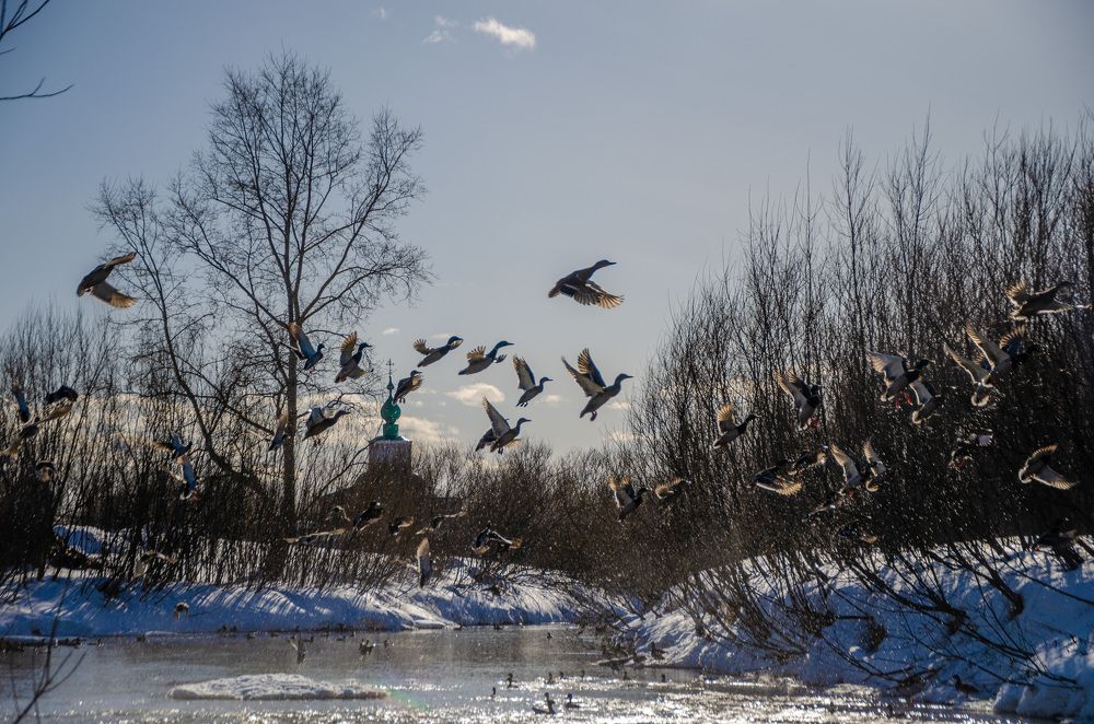 Photograph by Артём Шестаков