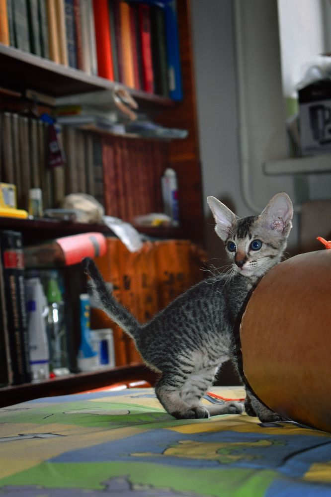 Photograph by Екатерина Гордеева