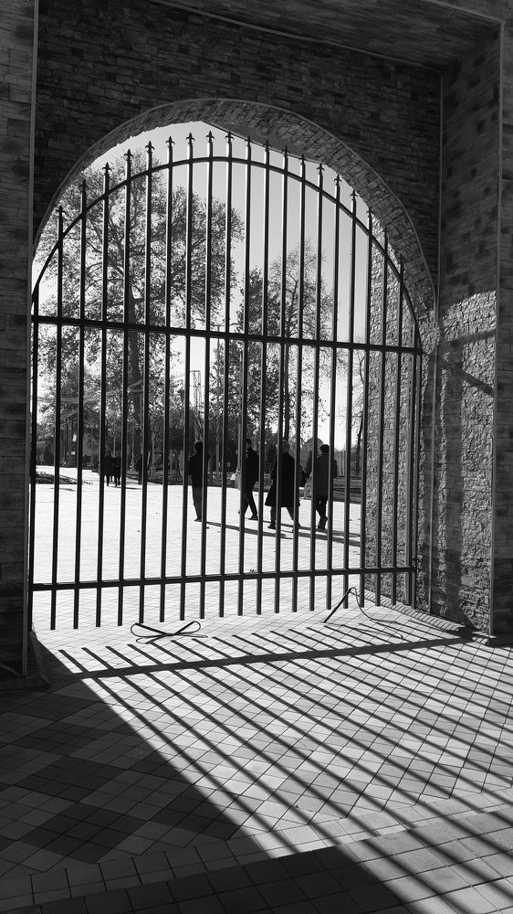 Photograph by Ардашер Пайванд