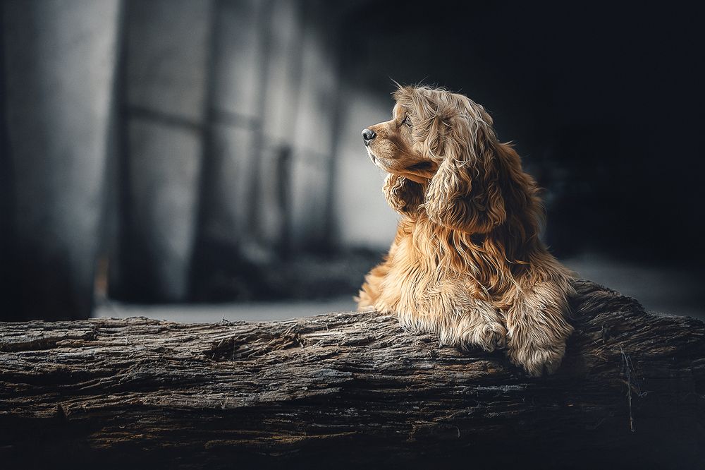 Photograph by Liu Lock