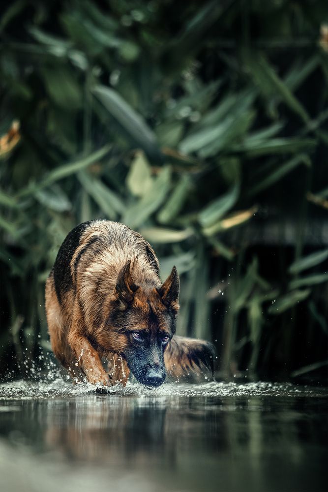 Photograph by Liu Lock