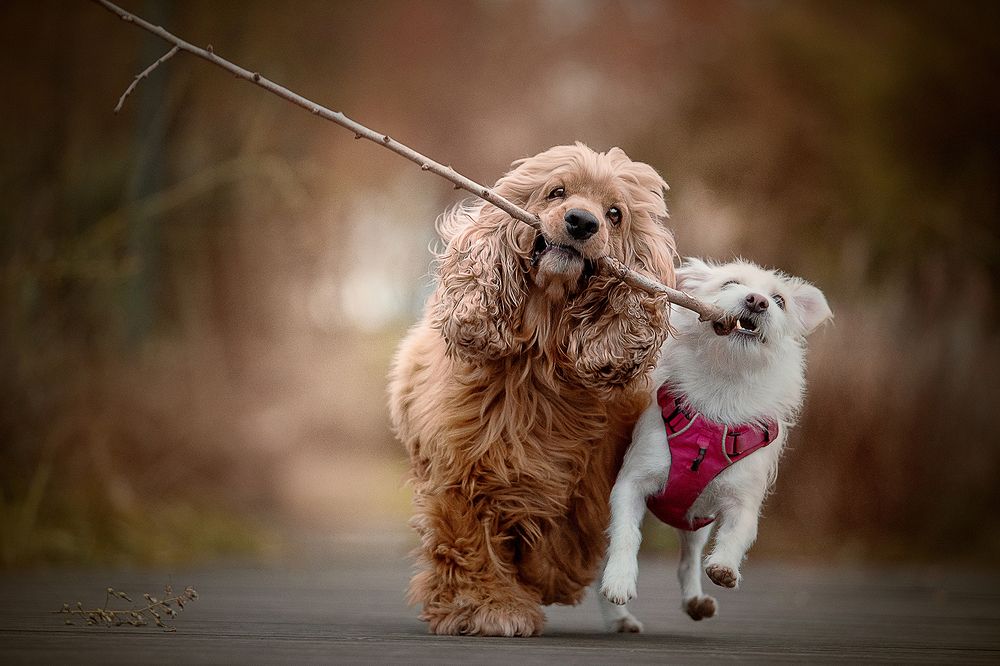 Photograph by Liu Lock