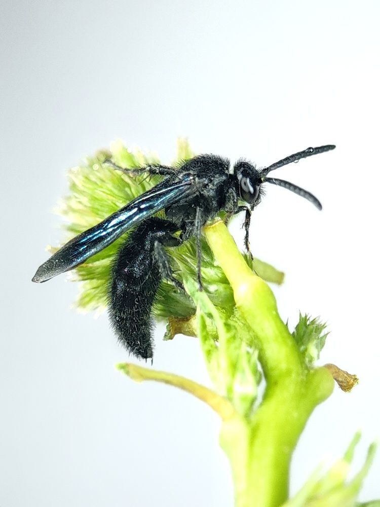 Photograph by Satishkumar Prakash