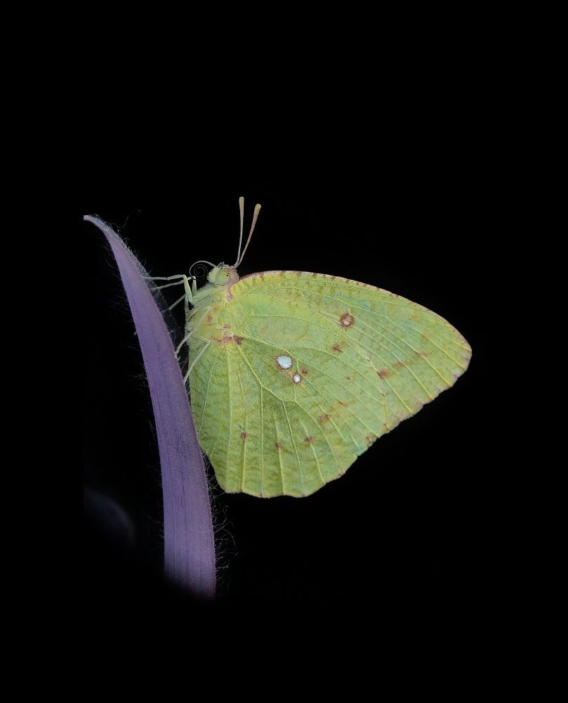 Photograph by Satishkumar Prakash