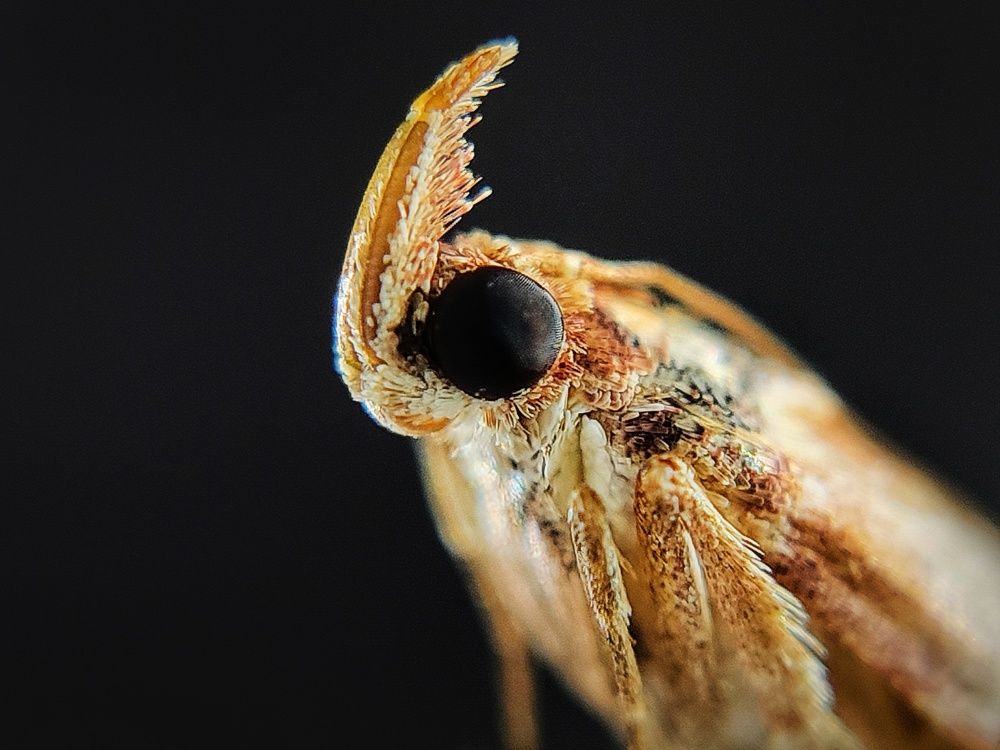 Photograph by Satishkumar Prakash