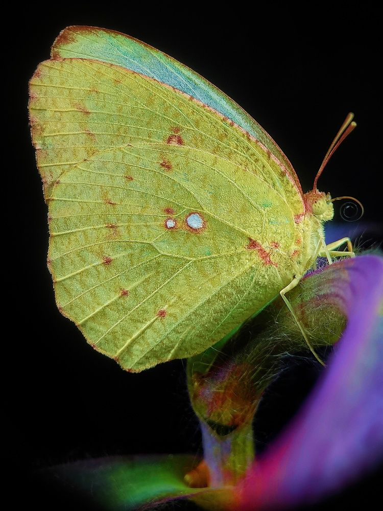 Photograph by Satishkumar Prakash