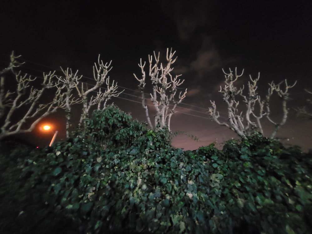 Photograph by Rahele Almassi