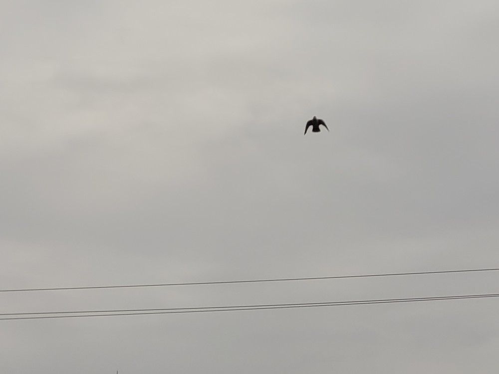 Photograph by Rahele Almassi