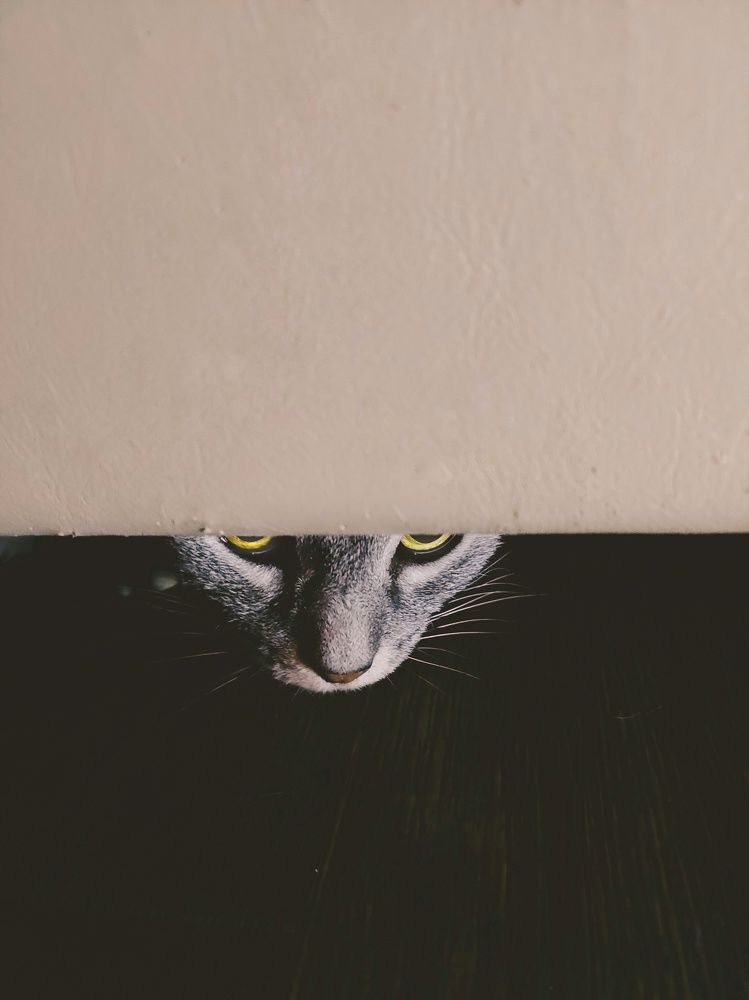 Photograph by Александра Кузнецова