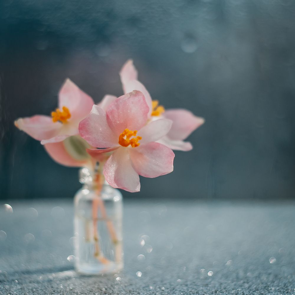 Photograph by Елена Мирзоева