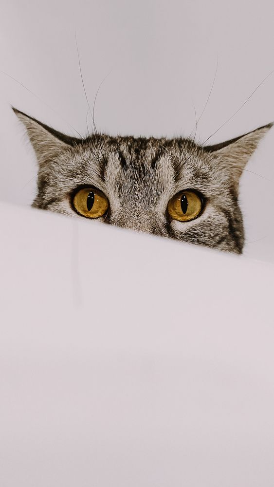 Photograph by Александра Кузнецова