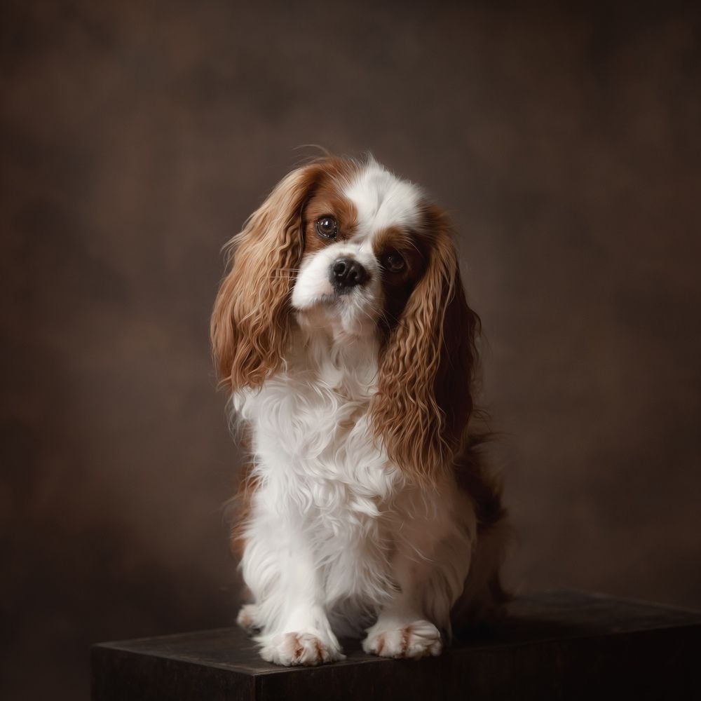 Photograph by Елена Кузнецова