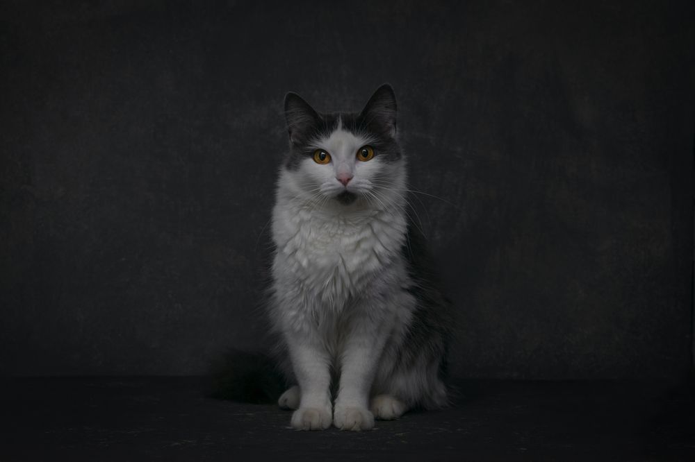 Photograph by Денис Ветренко