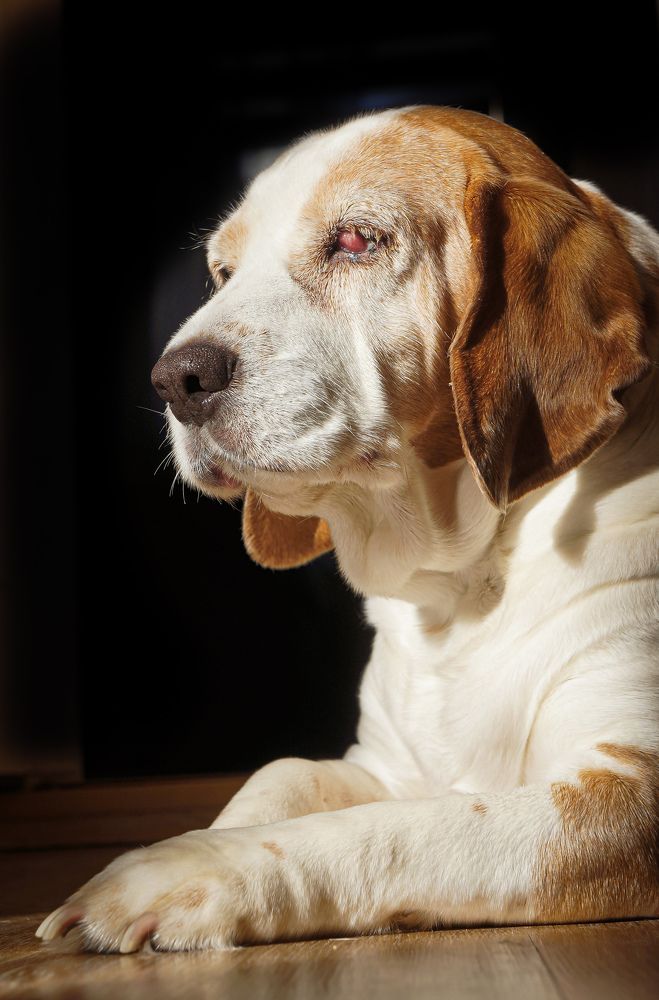 Photograph by Дарья Погонцева