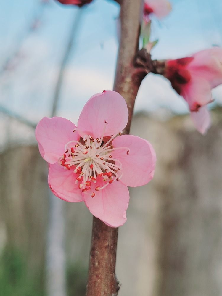 Photograph by Rahele Almassi