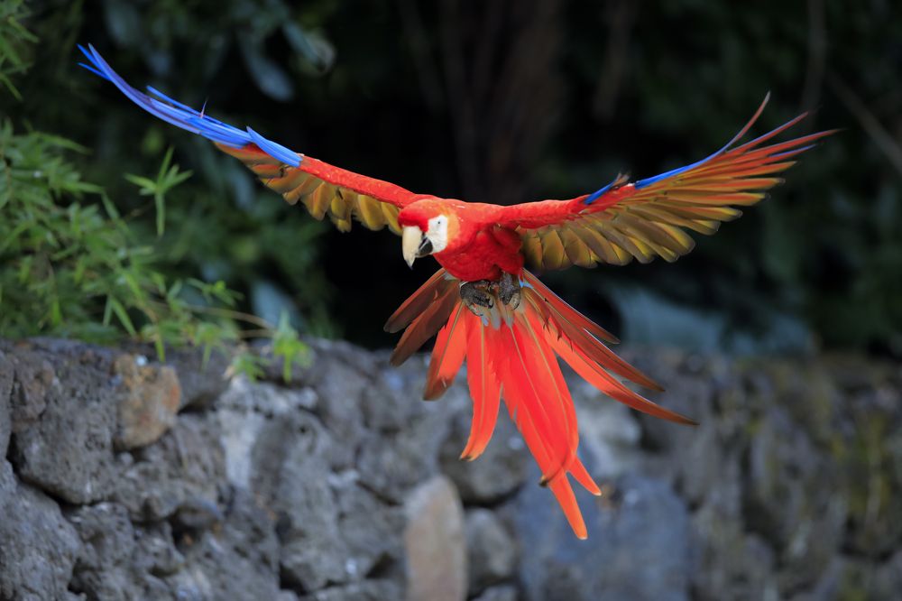 Photograph by johan koch