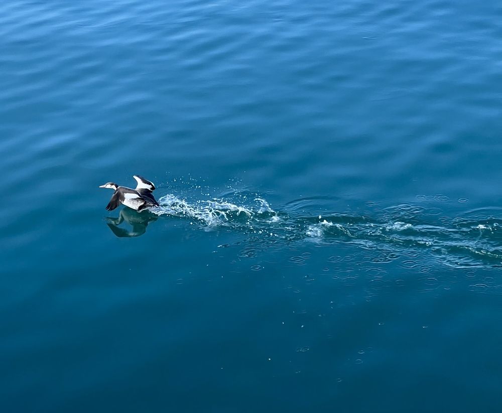 Photograph by Елена Мизина