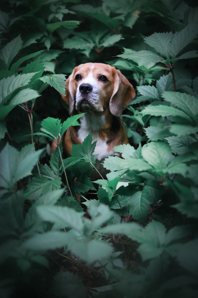 Фотография автора Katerina Mumzhinskaya